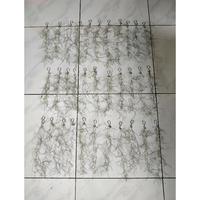 Gambar Janggut Musa / Jenggot Musa Murah (Panjang 1 Helai Janggut Musa 50Cm dari JURAGAN PERTANIAN Kota Tangerang Selatan 1 Tokopedia
