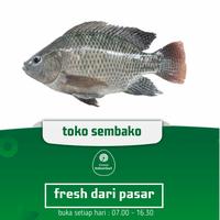 Gambar ikan mujair segar (PO H+1) dari Grosir Kebonsari Kota Surabaya 1 Tokopedia