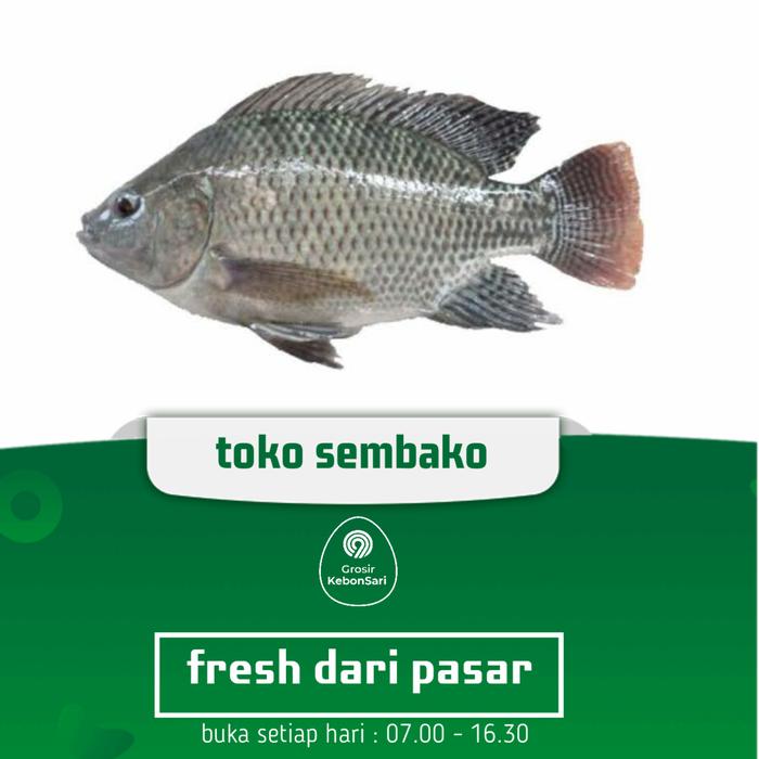 Gambar ikan mujair segar (PO H+1) dari Grosir Kebonsari Kota Surabaya Tokopedia