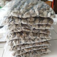 Gambar Punice Batu Apung 2-4 cm dari Bali Ponik Kab. Gianyar 2 Tokopedia