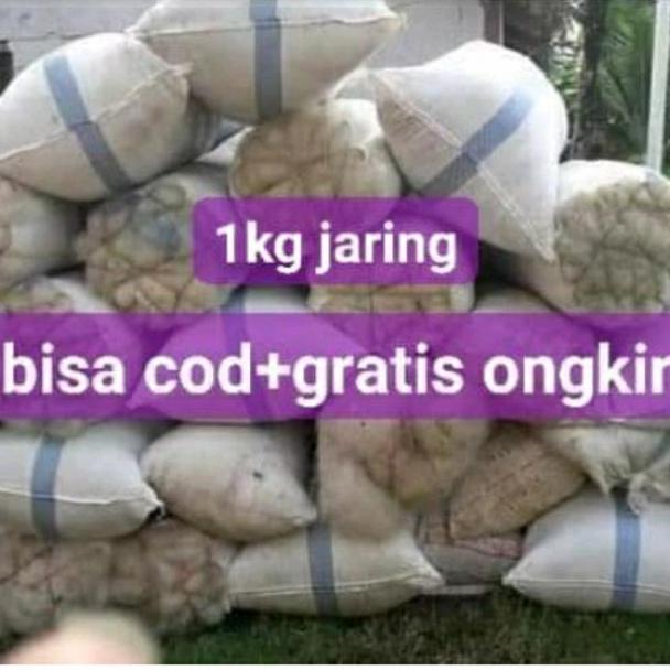 Gambar jaring nelayan media filter bioball japmat kolam ikan koi 1kg dari Keisyaende Kota Administrasi Jakarta Timur Tokopedia