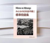Gambar Hyojun Mondaishu Chukyu 1 (Buku Impor Soal-soal Minna 1 Intermediate) dari Khansa & Keenan Kab. Tangerang 1 Tokopedia