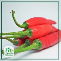 Gambar Cabe Merah Besar - Sayur Kendal - 1000gr dari Sayur Kendal Menteng Kota Administrasi Jakarta Pusat 2 Tokopedia