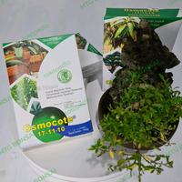 Gambar DECASTAR / OSMOCOTE 17-11-10 Pupuk Untuk Bonsai Kemasan 500 Gram dari mtgbonsai Kota Semarang 2 Tokopedia