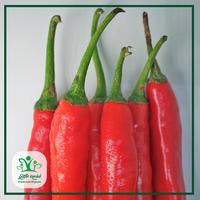 Gambar Cabe Merah Besar - Sayur Kendal - 1000gr dari Sayur Kendal Menteng Kota Administrasi Jakarta Pusat 3 Tokopedia