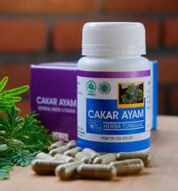 Gambar Herba Cakar Ayam Untuk Radang Tenggorokan Herbal Indo Utama isi 60 Kap dari Herbal Indo Utama Store Kab. Magelang 3 Tokopedia