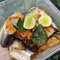 Gambar Ikan Patin Segar Bumbu Kuning | Ikan Segar | 500 Gram dari IKAN SEGAR SRIRIZKI Kota Administrasi Jakarta Selatan 1 Tokopedia