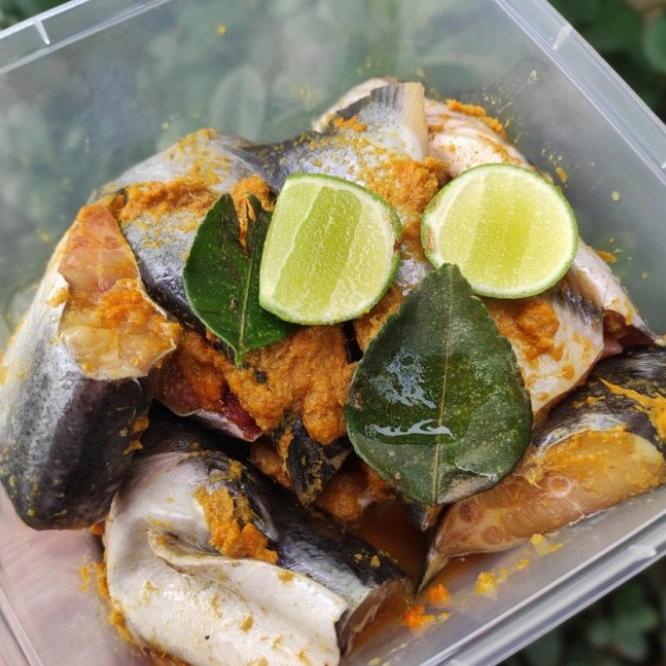 Gambar Ikan Patin Segar Bumbu Kuning | Ikan Segar | 500 Gram dari IKAN SEGAR SRIRIZKI Kota Administrasi Jakarta Selatan Tokopedia