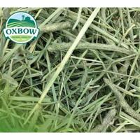 Gambar Rumput Hay Timothy Merk OXBOW 1 KG, Rumput Kering Makanan Kelinci dari Exigo Rabbitry Kota Administrasi Jakarta Timur 1 Tokopedia