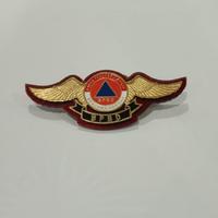 Gambar Pin wing bpbd dari PARIS JAYA ADV Kota Administrasi Jakarta Pusat 1 Tokopedia