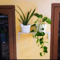 Gambar rak bunga hias besi dinding tembok - Hitam dari aglonema fattah Kab. Bogor 3 Tokopedia