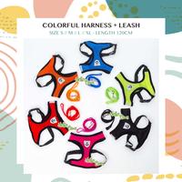 Gambar Pet Colorful Harness & Leash - Tali Tuntun Hewan Anjing Kucing Kelinci dari Hellopaws.id Kota Administrasi Jakarta Utara 1 Tokopedia