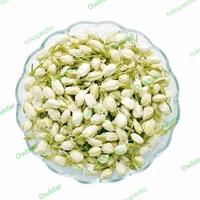 Gambar Teh Bunga Melati Kering Premium Jasmine Flower tea 250 gram dari PayPay88_NEW Kota Administrasi Jakarta Barat 1 Tokopedia