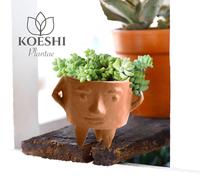 Gambar Donkey Tail + Mr Human Pot Figure Set Kit dari Koeshi Home Kab. Tangerang 1 Tokopedia