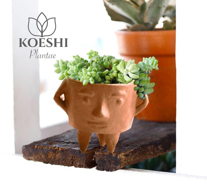 Gambar Donkey Tail + Mr Human Pot Figure Set Kit dari Koeshi Home Kab. Tangerang Tokopedia