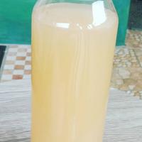 Gambar cuka apel 250 ml, home made. dari RumahkuSehat Kota Bekasi 1 Tokopedia