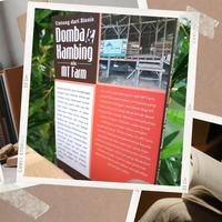 Gambar Buku Bisnis Peternakan Buku Beternak Domba dan Kambing Sukses MT Farm dari OUTLET MT FARM BOGOR Kab. Bogor 5 Tokopedia