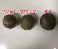 Gambar BUAH LOHANKUO LO HAN KUO LO HAN GUO HERBAL ALAMI ASLI SEGAR UNTUK TENG dari Luckymall.jkt Kota Administrasi Jakarta Barat 4 Tokopedia