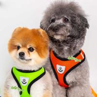 Gambar Pet Colorful Harness & Leash - Tali Tuntun Hewan Anjing Kucing Kelinci dari Hellopaws.id Kota Administrasi Jakarta Utara 3 Tokopedia