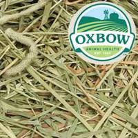 Gambar Rumput Hay Timothy Merk OXBOW 1 KG, Rumput Kering Makanan Kelinci dari Exigo Rabbitry Kota Administrasi Jakarta Timur 3 Tokopedia