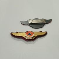 Gambar Pin wing bpbd dari PARIS JAYA ADV Kota Administrasi Jakarta Pusat 3 Tokopedia