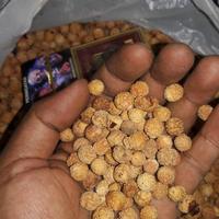 Gambar Bubuk Buah Biji Bidara Arab Sidr Obat Ruqyah 1kg MURNI dari toko poper Kota Surabaya 3 Tokopedia