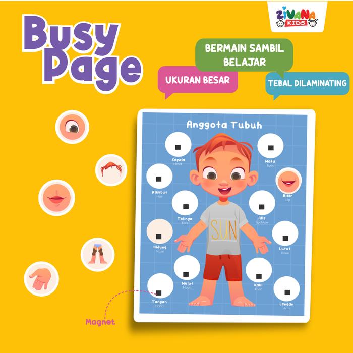 Gambar BUSY PAGE MENGENAL ANGGOTA TUBUH LAKI-LAKI MONTESSORI ANAK BOARD GAME dari ZIVANA KIDS Kota Surabaya Tokopedia