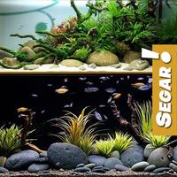 Gambar Batu Kali Sungai Coral Hiasan Aquarium Ikan dan Tanaman Aquascape dari mybigbox Kota Administrasi Jakarta Barat 1 Tokopedia