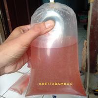 Gambar Kutir Kutu Air Hidup Segar & Bersih dari AriefP Kota Bekasi 2 Tokopedia