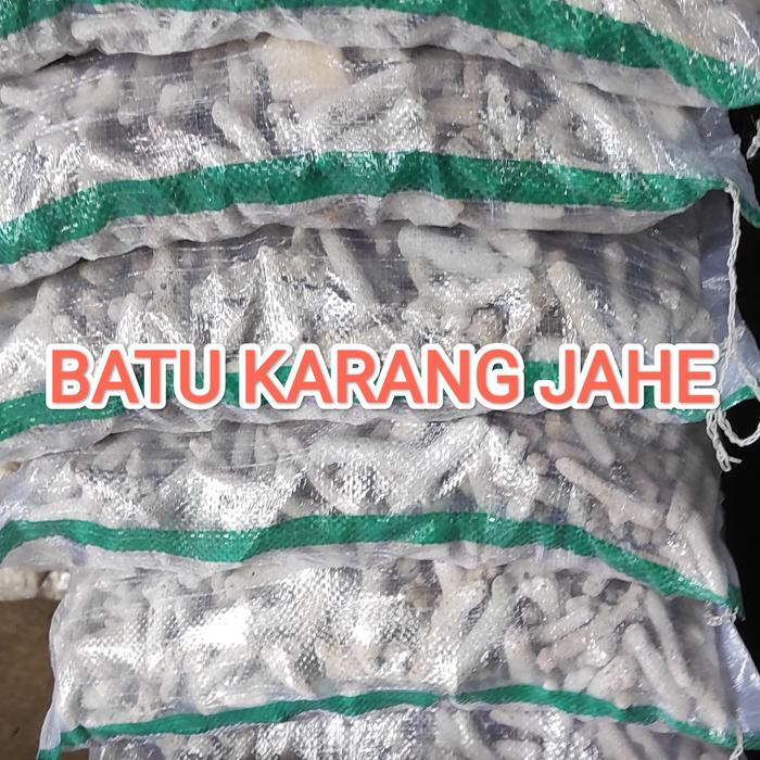 Gambar Batu Alam Karang Jahe Media Aquarium Filter Kemasan Karungan dari Setia Flora Kota Administrasi Jakarta Selatan Tokopedia