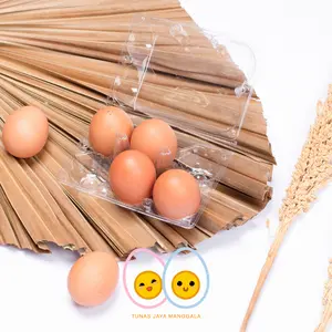 MIKA TELUR AYAM 6 LUBANG SUDAH ADA PENGUNCI 50 PCS