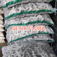 Gambar Batu Alam Karang Jahe Media Aquarium Filter Kemasan Karungan dari Setia Flora Kota Administrasi Jakarta Selatan 3 Tokopedia