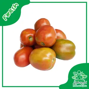 Tomat - Sayur Kendal Fresh & Organic