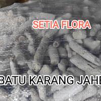 Gambar Batu Alam Karang Jahe Media Aquarium Filter Kemasan Karungan dari Setia Flora Kota Administrasi Jakarta Selatan 2 Tokopedia