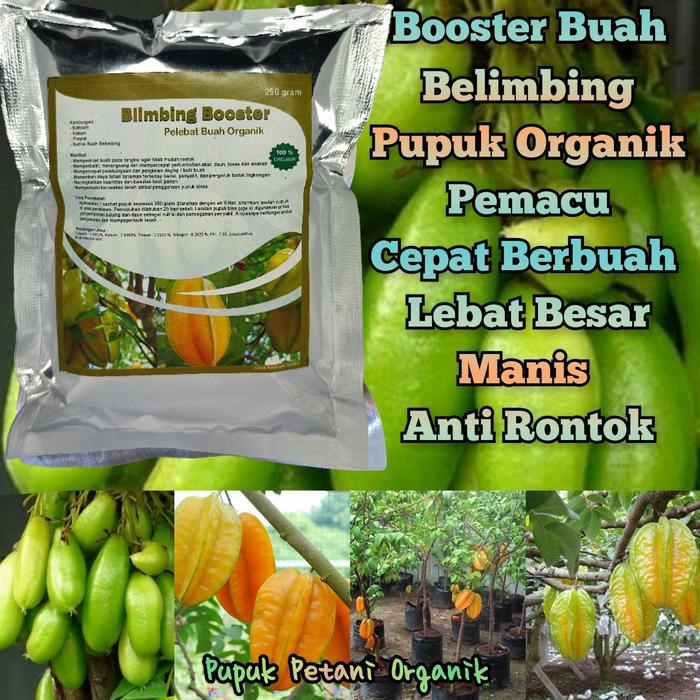 Gambar Pupuk Belimbing Cepat Berbuah Lebat Pupuk Booster Belimbing dari Pupuk Petani Organik Kab. Bantul Tokopedia
