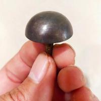 Gambar paku pines paku payung kuningan aksesoris pintu gebyok gerbang 2,5 cm dari Meta Handle Kab. Pati 4 Tokopedia