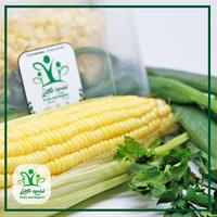 Gambar Paket Bakwan Jagung - Sayur Kendal - 1-2 Orang dari Sayur Kendal Menteng Kota Administrasi Jakarta Pusat 3 Tokopedia