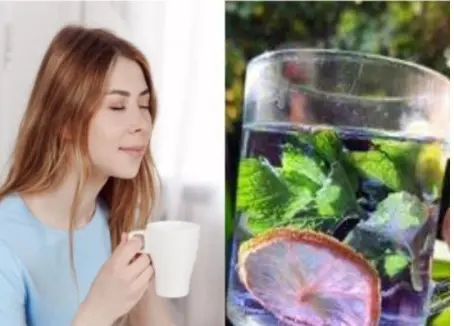 TEH BUNGA TELANG ALAMI BUTERFLY PEA Air Tea 2