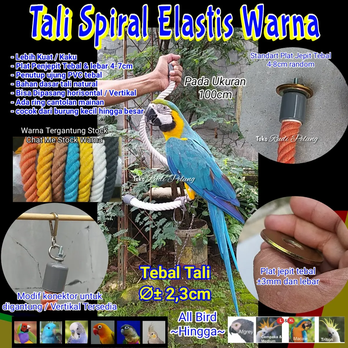 Tali Elastis Tangkringan Spiral Boing Parrot Warna