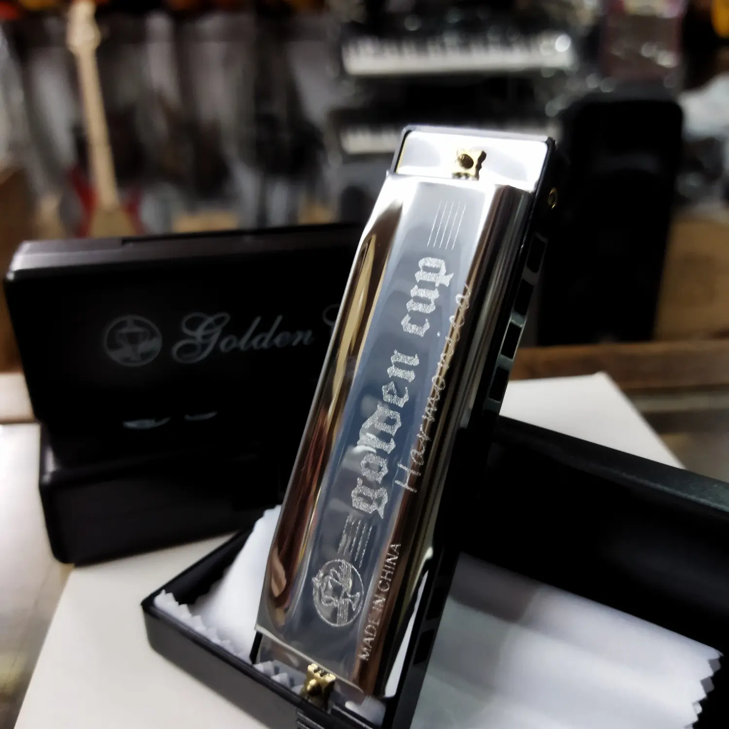harmonica 10hole diatonik D E G