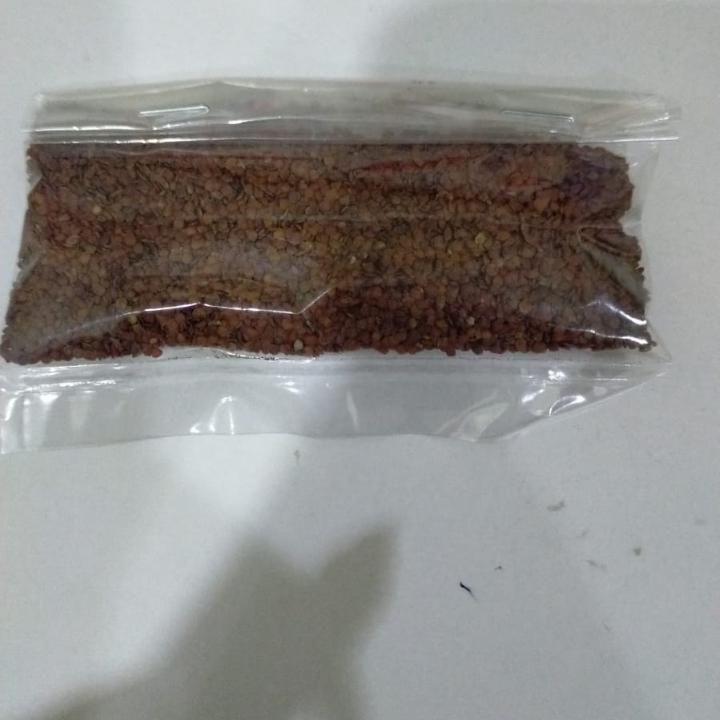 TELOR KODOK OBAT BISUL