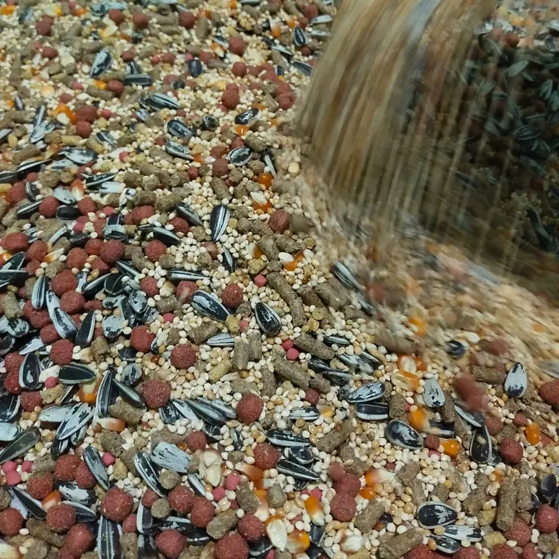 makanan hamster 1 kg RP 2