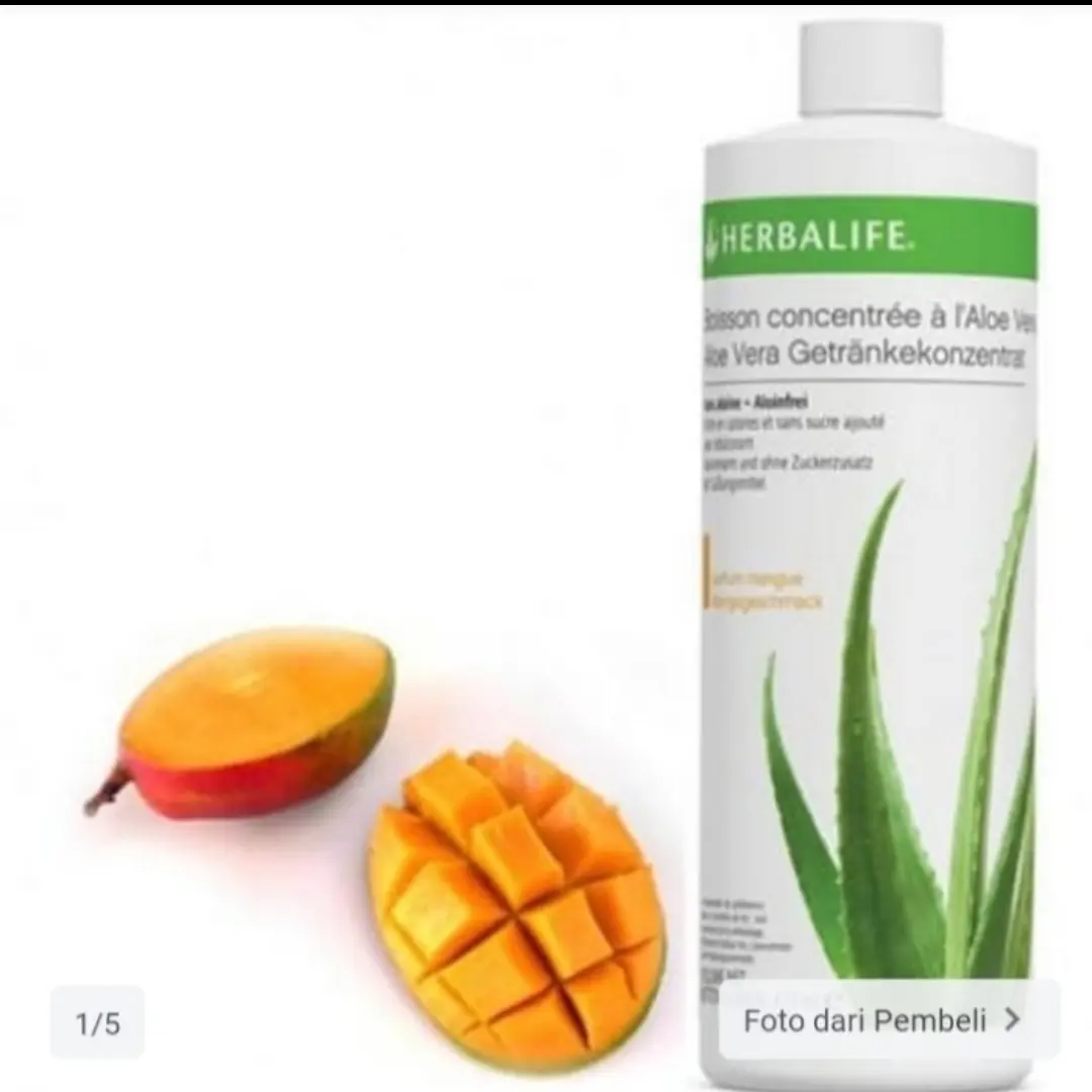 minuman Aloevera mangga jeruk original