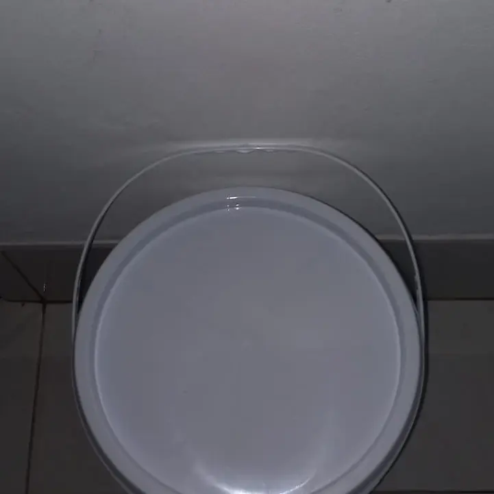 pail ember 4 L Baru bisa buat makanan 2