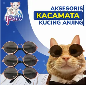 IPAW Kacamata Kucing Anjing Peliharaan Aksesoris Hewan