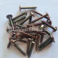 Gambar Sekrup Tab 8x1"/ skrup kuning 2.5cm dari Cicanstore_NEW Kab. Karanganyar 1 Tokopedia