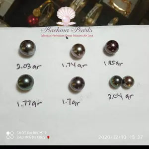 Butiran mutiara air laut warna hitam loose pearl original lombok