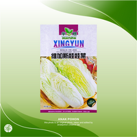 Gambar (1 PACK) Benih Sawi Putih Chinese Cabbage Seeds - Retail Pack dari Anak Pohon Kab. Sleman 1 Tokopedia