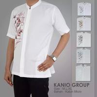 Gambar Baju Koko bordir / baju koko katun mikro / baju koko lengan pendek - bordir putih f, M dari ALFAUZI COLLECTION Kota Administrasi Jakarta Barat 2 Tokopedia