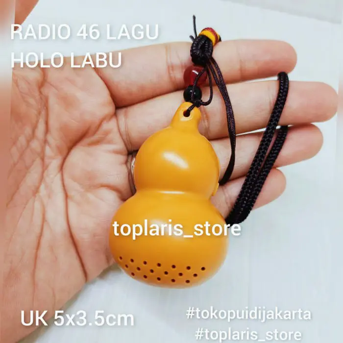 RADIO MUSIK BUDHIS LABU HOLO 46LAGU TPO